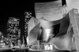 Horizontal The Disney Concert Hall in Downtown LA black and white Pictures