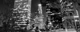 Panoramic Downtown LA at Night black and white Pictures