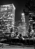 Vertical Downtown LA at Night black and white Pictures