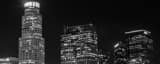 Panoramic Downtown LA at Night black and white Pictures