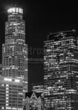 Vertical Downtown LA at Night black and white Pictures