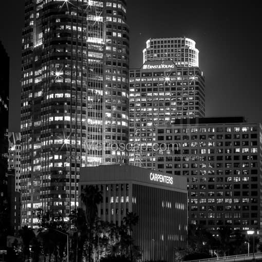 The Ernst and Young Building in Los Angeles -- Los Angeles Black and White Photos