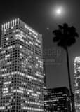 Vertical A Full Moon over Downtown Los Angeles black and white Photos