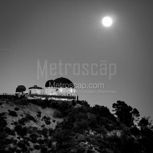 Griffith Park under the Super Moon -- Los Angeles Black and White Photos