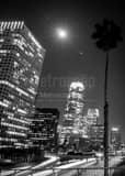 Vertical Los Angeles at Night from 4th Street landscape black and white Photography