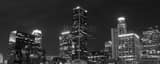 Panoramic Los Angeles Skyline at Night landscape black and white Photography