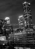 Vertical Los Angeles Skyline at Night landscape black and white Photography
