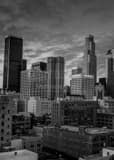 Vertical The Los Angeles Skyline black and white Pictures