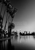 Vertical The Los Angeles Skyline from Echo Park along Glendale Boulevard landscape black and white Photography