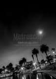 Vertical MacArthur Park at Night landscape black and white Photography