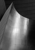 Vertical The Stainless Steel Skin of the Disney Concert Hall landscape black and white Photography