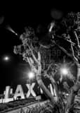 Vertical LAX Sign at Night landscape black and white Photography