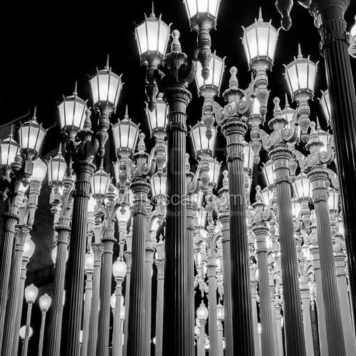 The Urban Lights at LACMA -- Los Angeles Black and White Photos