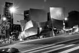 Horizontal The Walt Disney Concert Hall at Night black and white Pictures
