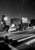 Vertical The Walt Disney Concert Hall at Night black and white Pictures