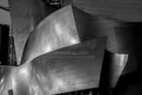 Horizontal A Close-up Shot of the Disney Concert Hall black and white Pictures