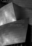 Vertical A Close-up Shot of the Disney Concert Hall black and white Pictures