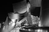Horizontal The Walt Disney Concert Hall in Downtown Los Angeles black and white Pictures