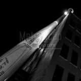 Square The Giant Louisville Slugger Bat Photography