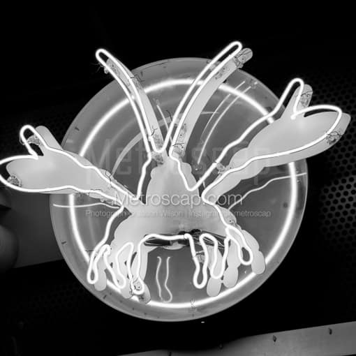 The Neon Lobster of J Gumbos on Fourth Street -- Louisville Black and White Photography