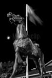 Vertical The Richland Carousel Park black and white Photos