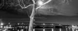 Panoramic The Williamstown Bridge in Marietta black and white Photography