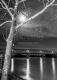 Vertical The Williamstown Bridge in Marietta black and white Photography