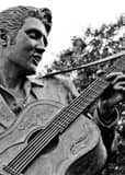 Vertical Elvis Presley The King of Rock N Roll Photography