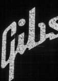 Vertical Close-up Shot of the Gibson Sign Photography