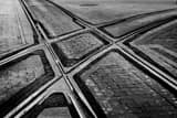 Horizontal Street Car Tracks in Memphis Photography