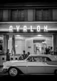 Vertical The Avalon Hotel on South Miami Beach black and white Photos