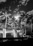 Vertical The Bayside Sign black and white Photos