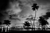 Horizontal Downtown Miami from South Pointe Park black and white Photos