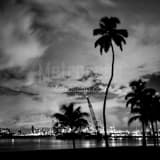 Square Downtown Miami from South Pointe Park black and white Photos