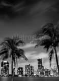 Vertical The Downtown Miami Skyline at Night from Rickenbacker Causeway black and white Photos