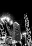 Vertical Downtown Miami Buildings near Bayfront Park black and white Photos