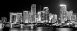 Panoramic Miami at Night black and white Photos