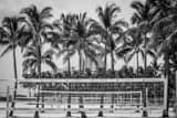 Horizontal Miami Beach Volleyball Nets black and white Photos