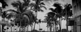 Panoramic Ocean Drive on Miami Beach black and white Photos