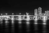 Horizontal The Port Boulevard Bridge to Dodge Island black and white Photos