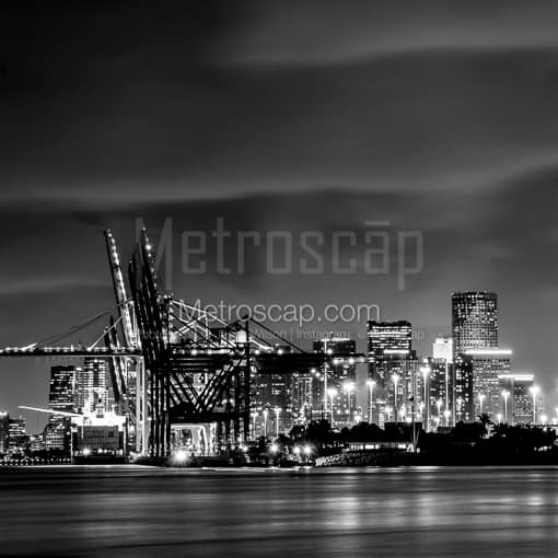 The Ports on Dodge Island -- Miami Black and White Photos
