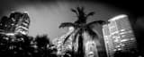 Panoramic South Beach Condos Overlook South Pointe Park landscape black and white Photography