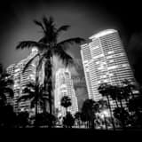 Square South Beach Condos Overlook South Pointe Park landscape black and white Photography