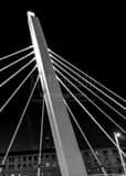 Vertical A Spire of the Sixth Street Bridge black and white Photos