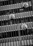 Vertical The Ladybug Building in Downtown Milwaukee Framed Photos