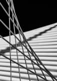 Vertical Support Cables for the Milwaukee Art Museum Structure black and white Photos