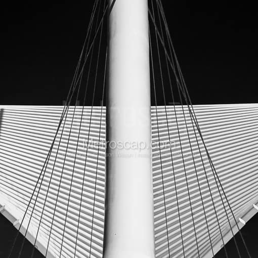 The Wings on the Milwaukee Art Museum -- Milwaukee Black and White Photos
