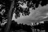 Horizontal The Milwaukee Skyline from McKinley Park Framed Photos