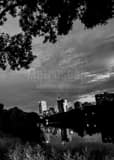 Vertical The Milwaukee Skyline from McKinley Park Framed Photos