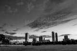 Horizontal The Milwaukee Skyline from Veterans Park Framed Photos